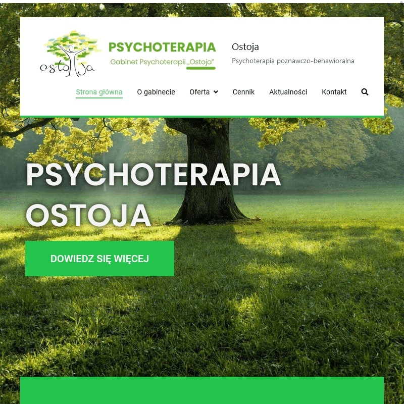 Warszawa - psychoterapeuta młodzieży